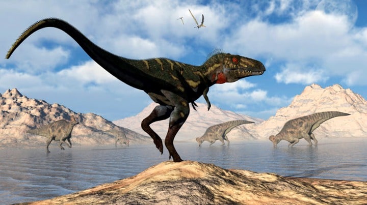 wann lebte nanotyrannus