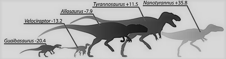 nanotyrannus vergleich
