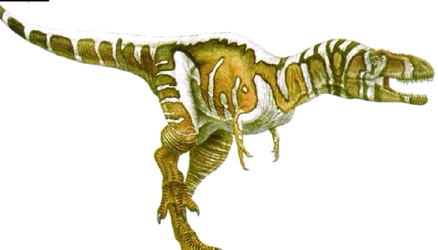 nanotyrannus