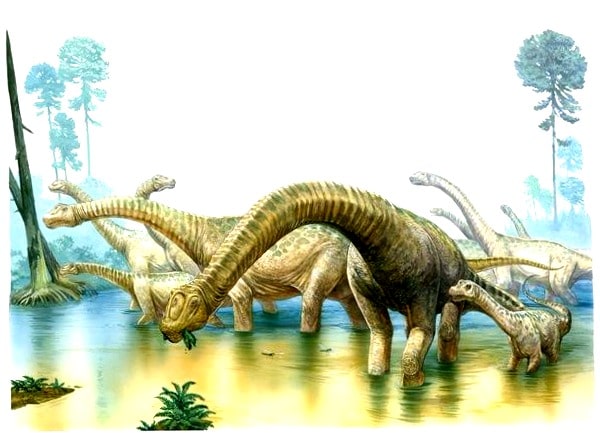 herbivore Dinosaurier