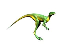 Dinosauromorpha