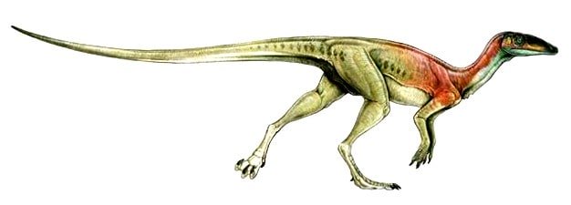 Dinosauromorpha