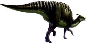 saurolophus kamm-dinosaurier