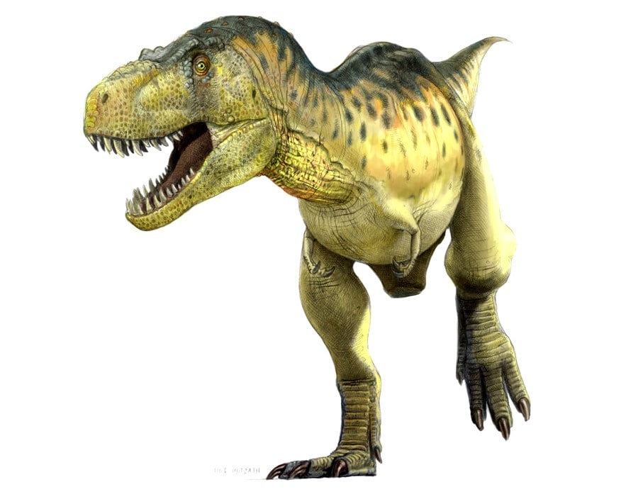 tyrannosaurier