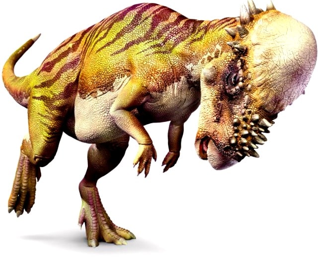 Pachycephalosaurier Dickkopfsaurier