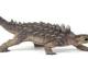 Ankylosaurus Beschreibung