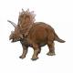 Anchiceratops