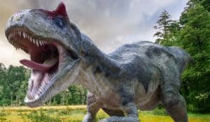 Albertosaurus Angriff