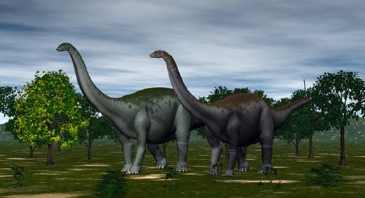 Apatosaurus Dinosaurier