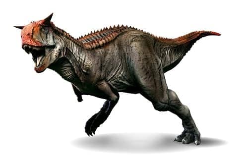 carnotaurus dinosaurier