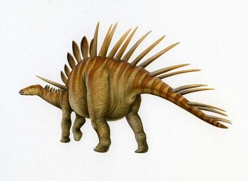 Kentrosaurus Dinosaurier