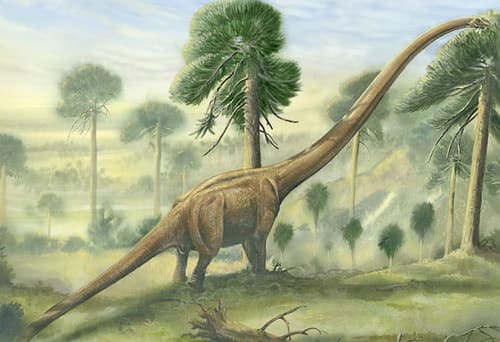 Mamenchisaurus Dinosaurier
