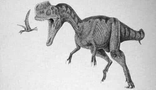 Monolophosaurus Dinosaurier