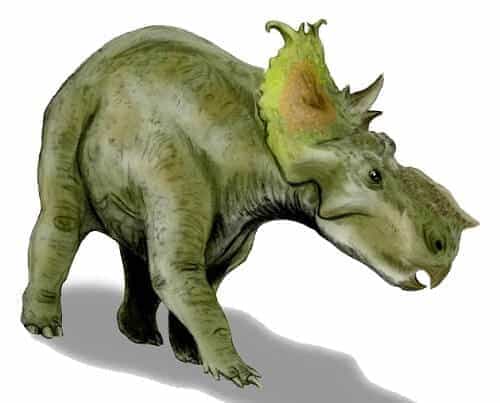 Pachyrhinosaurus Dinosaurier