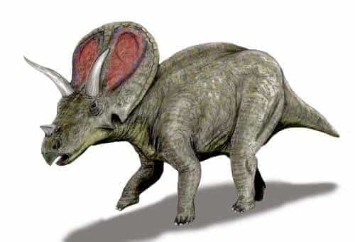 Pentaceratops Dinosaurier