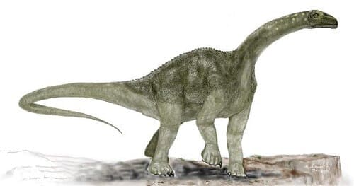 Titanosaurus Dinosaurier