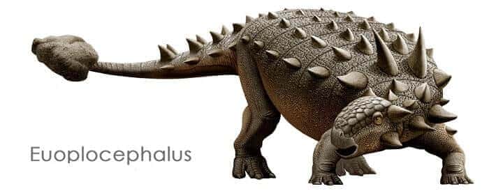 Euoplocephalus Bild
