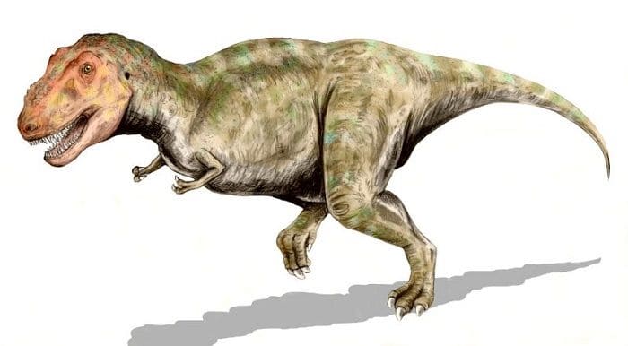 Trex Eigenschaften