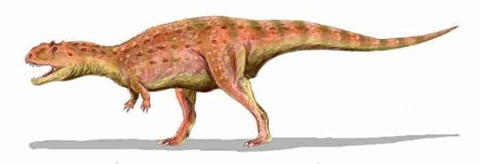Majungasaurus - Bild