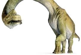 giraffatitan - bild