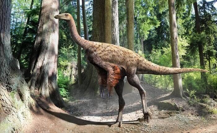 Ornithomimus Bild