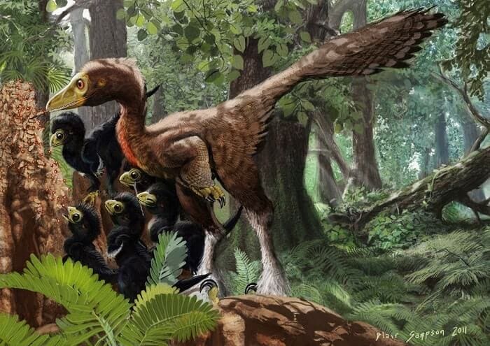 Troodon Lebensraum