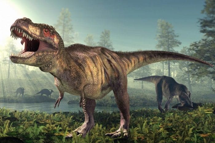 Lebensraum Tyrannosaurus Rex