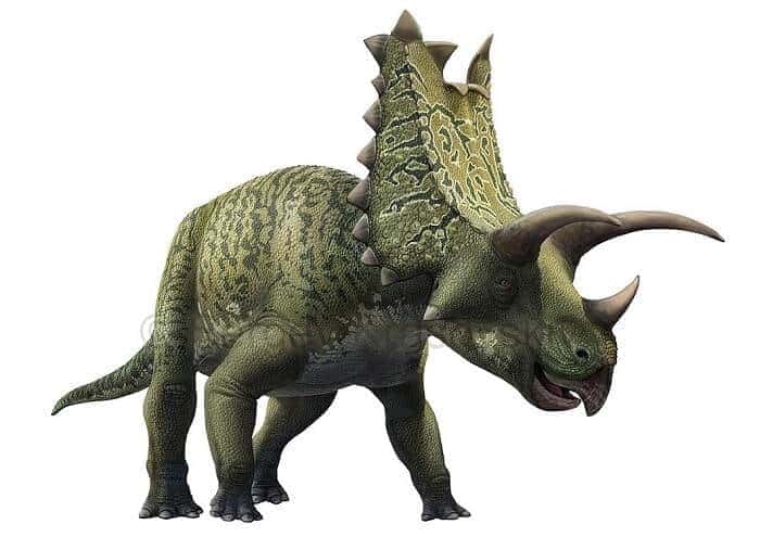 Pentaceratops - Bild