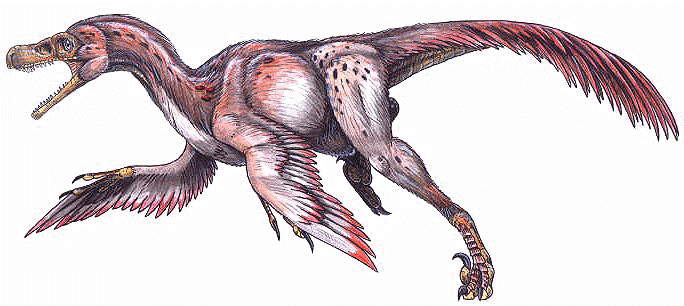 Bambiraptor Bild
