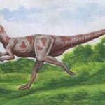 Mikropachycephalosaurus