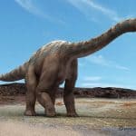 Argentinosaurus Beschreibung