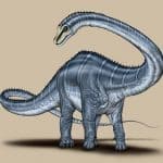 Barosaurus