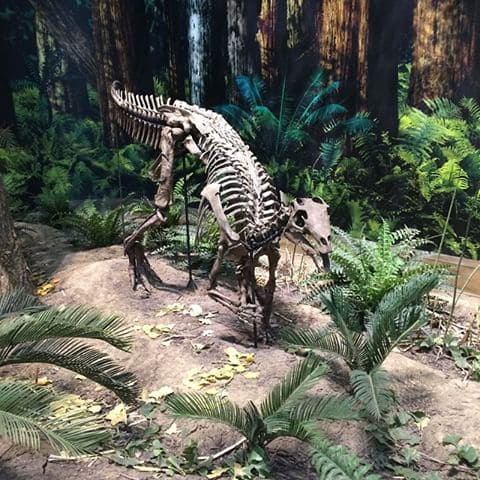 Camptosaurus Rekonstruktion