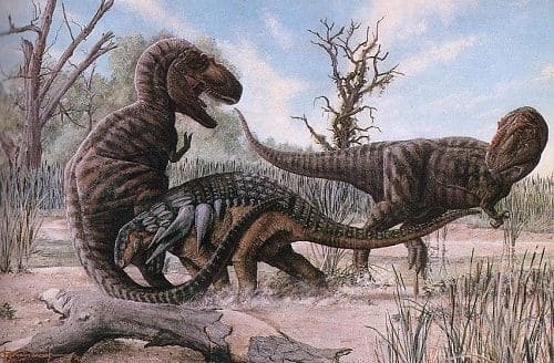 Daspletosaurus - Dinosaurier