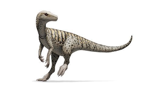 Herrerasaurus Dinosaurier