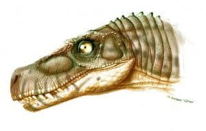 Herrerasaurus Kopf