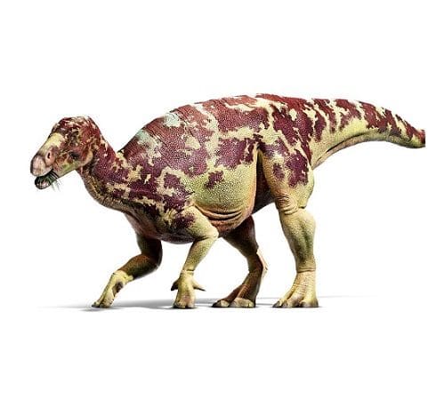 Iguanodon Dinosaurier