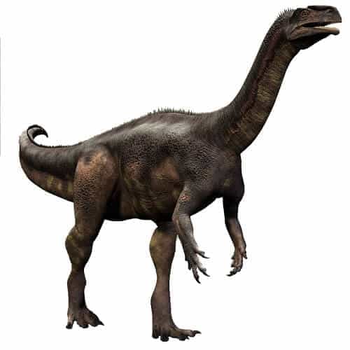 Plateosaurus Dinosaurier