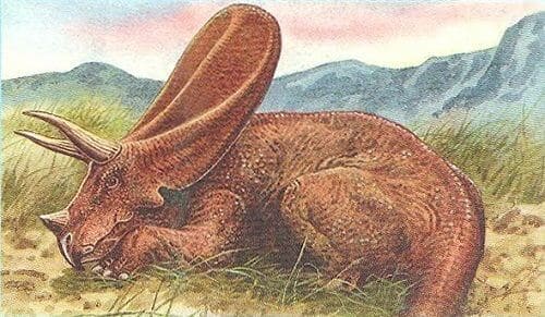 Torosaurus Dinosaurier