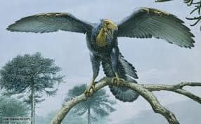 archaeopteryx Lebensraum