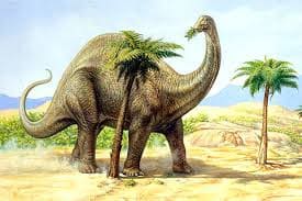 brontosaurier lebensraum