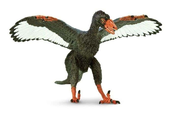 Archaeopteryx Bild