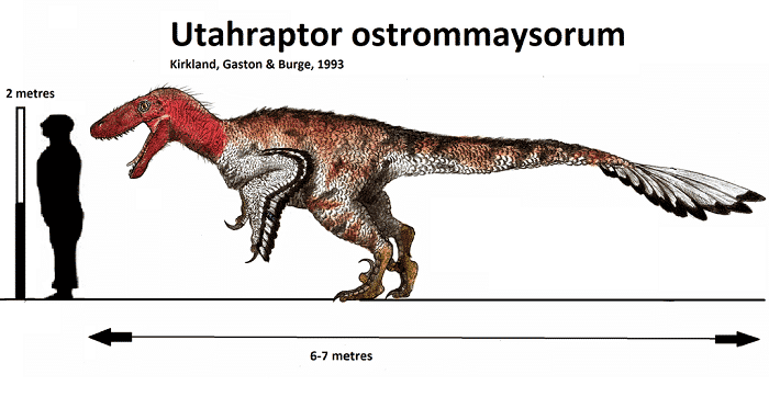 Utahraptor Vergleich