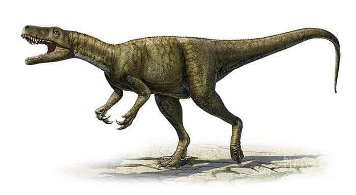  Herrerasaurus Bild