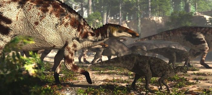 Anatotitan Lebensraum