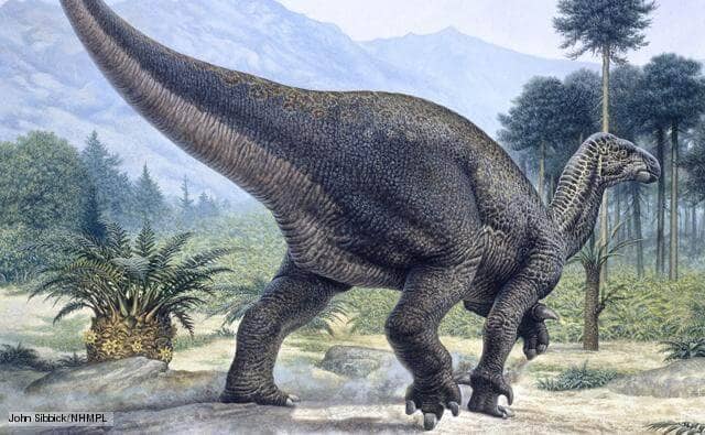 Iguanodon Lebensraum