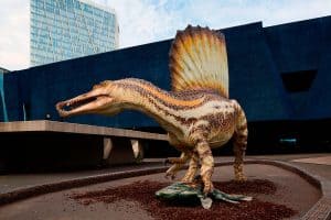 spinosaurus - ausstellung museum barcelona