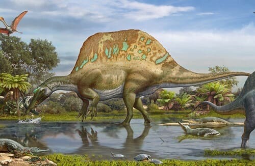 Spinosaurius Dinosaurier