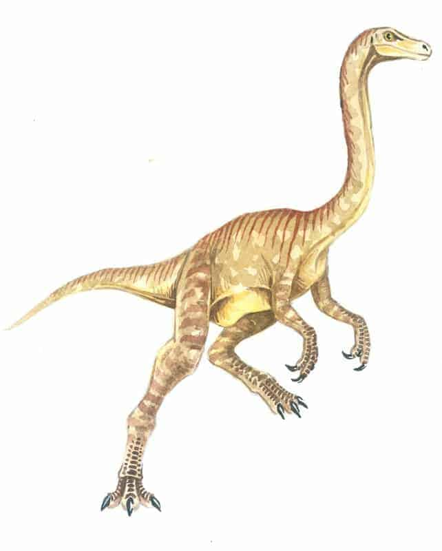 gallimimus