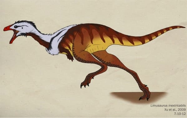 vegetarische Theropoda